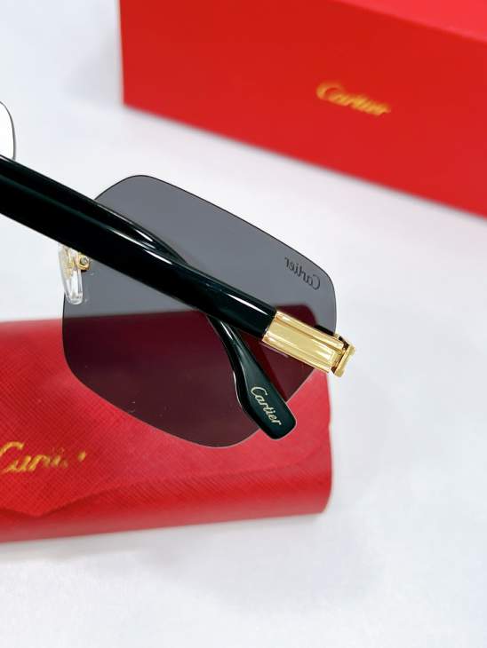 Picture of Cartier Sunglasses _SKUfw79566441fw